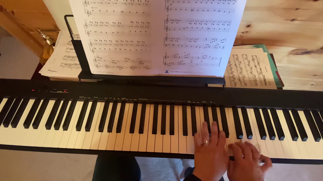 Piano Adventures: The Flys Adventure