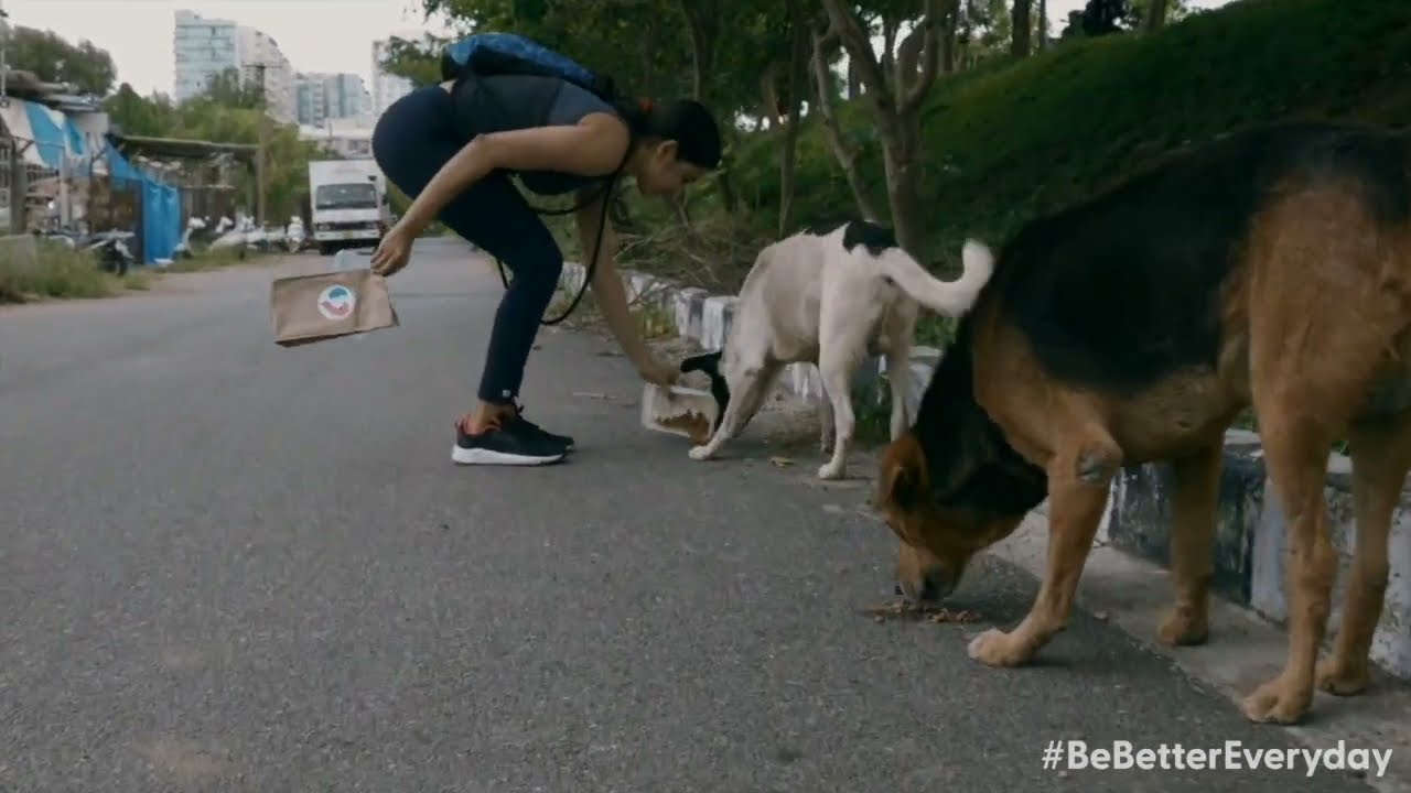 POV: You're a street dog | Kuddle Petcare services | #bebettereveryday