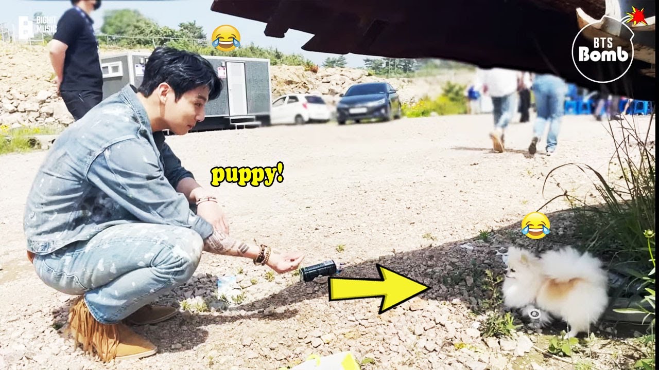 BTS (방탄소년단) with animals - Cute moments
