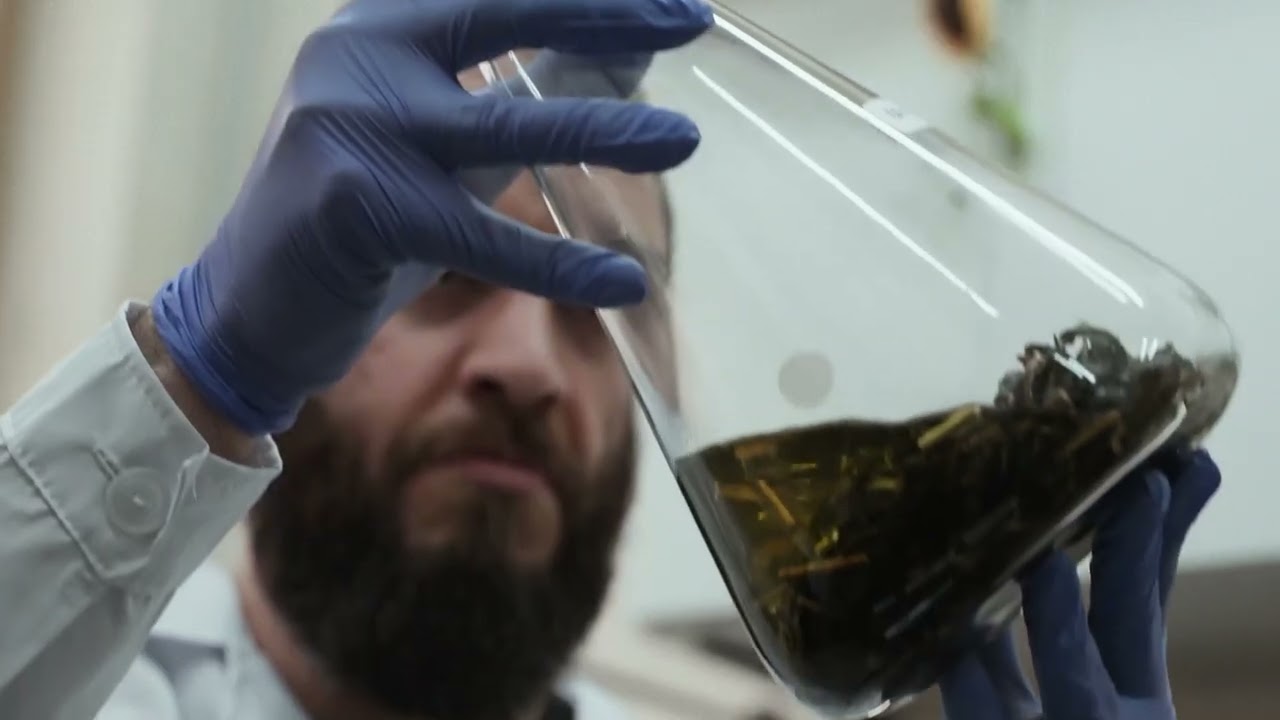 Donde nace el conocimiento. Episodio 5. Plantas contra el dengue.