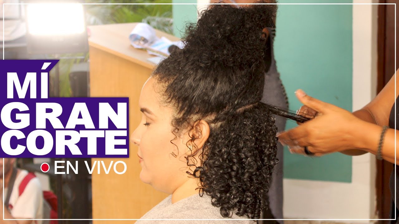Mi Gran Corte
