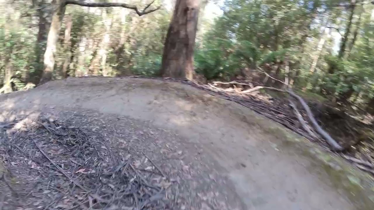Maydena Bike Park - Colourblind