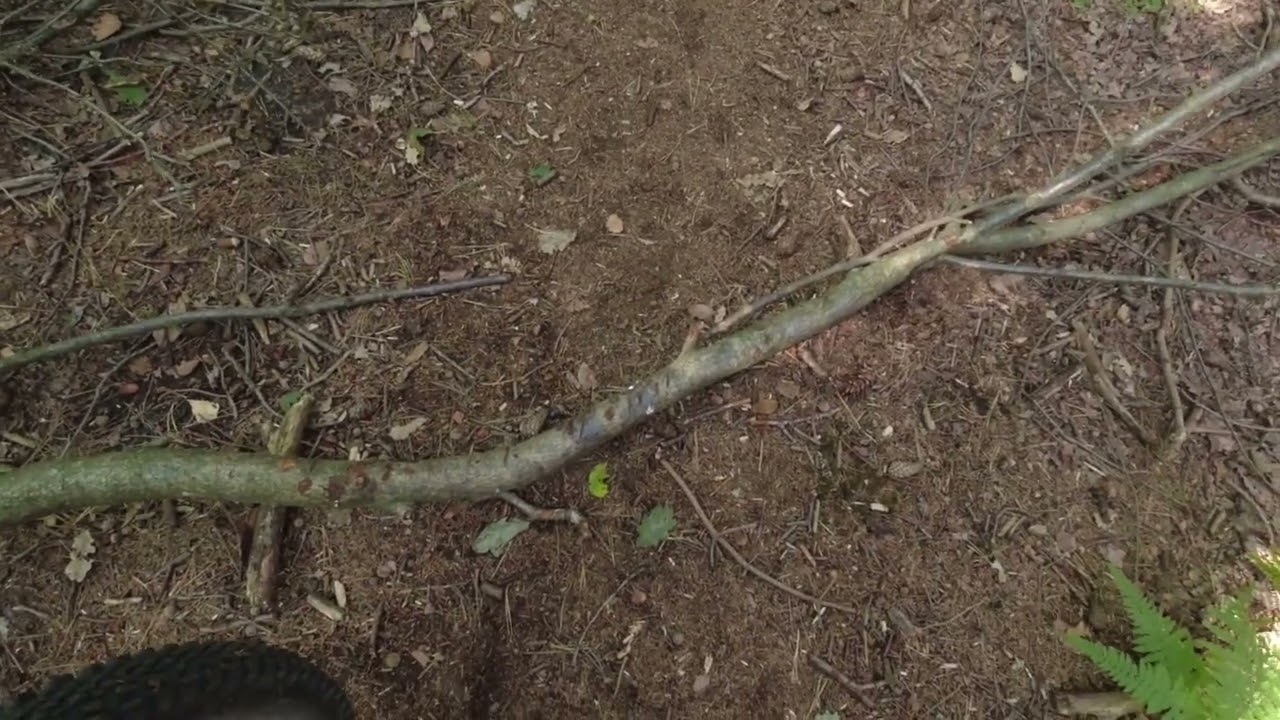 E-MTB Erkundung um die Waldkaserne Hilden