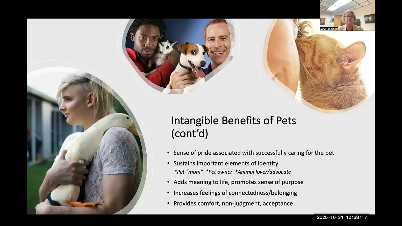 Human Animal Bond, Ethics,  and Veterinary Medicine