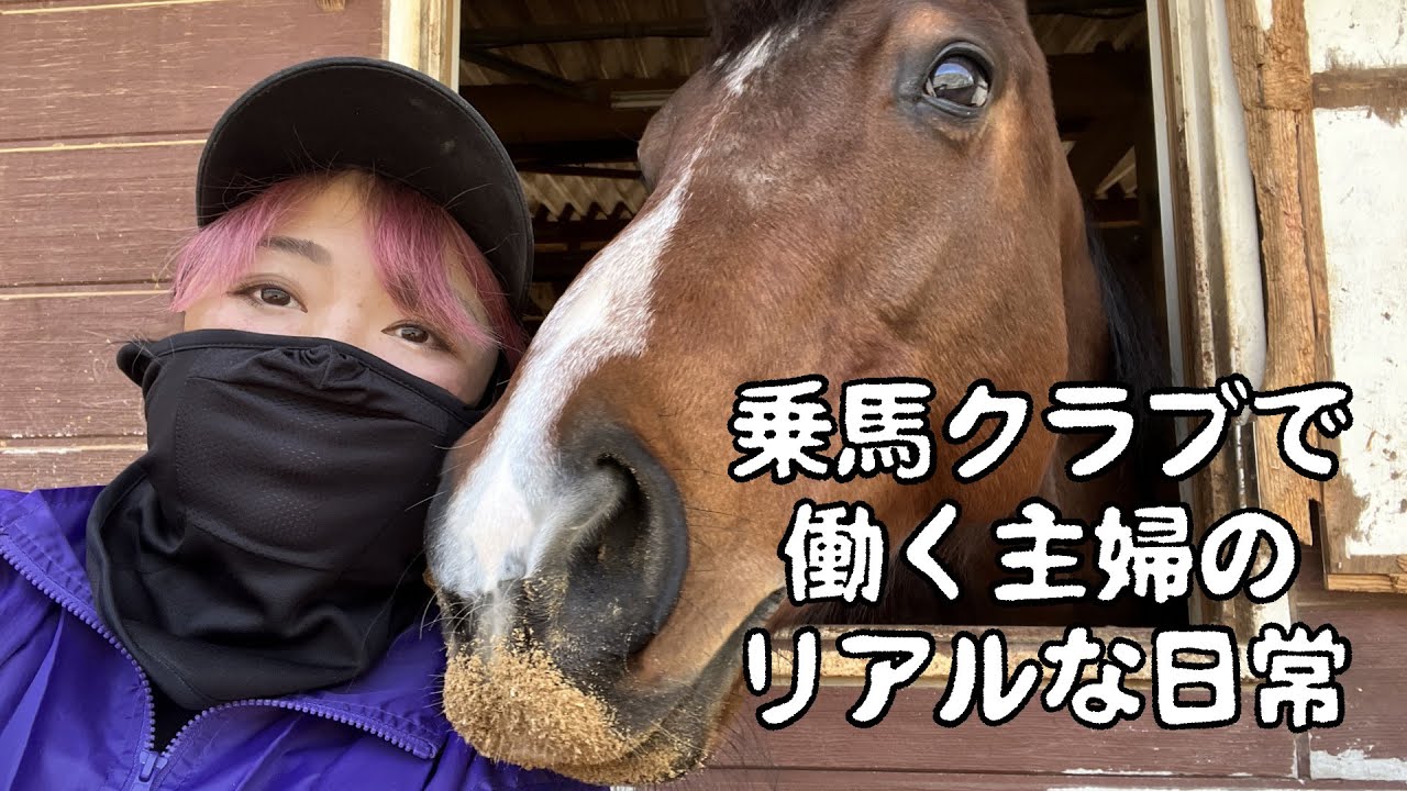 【乗馬】乗馬クラブで働く主婦のリアルな日常