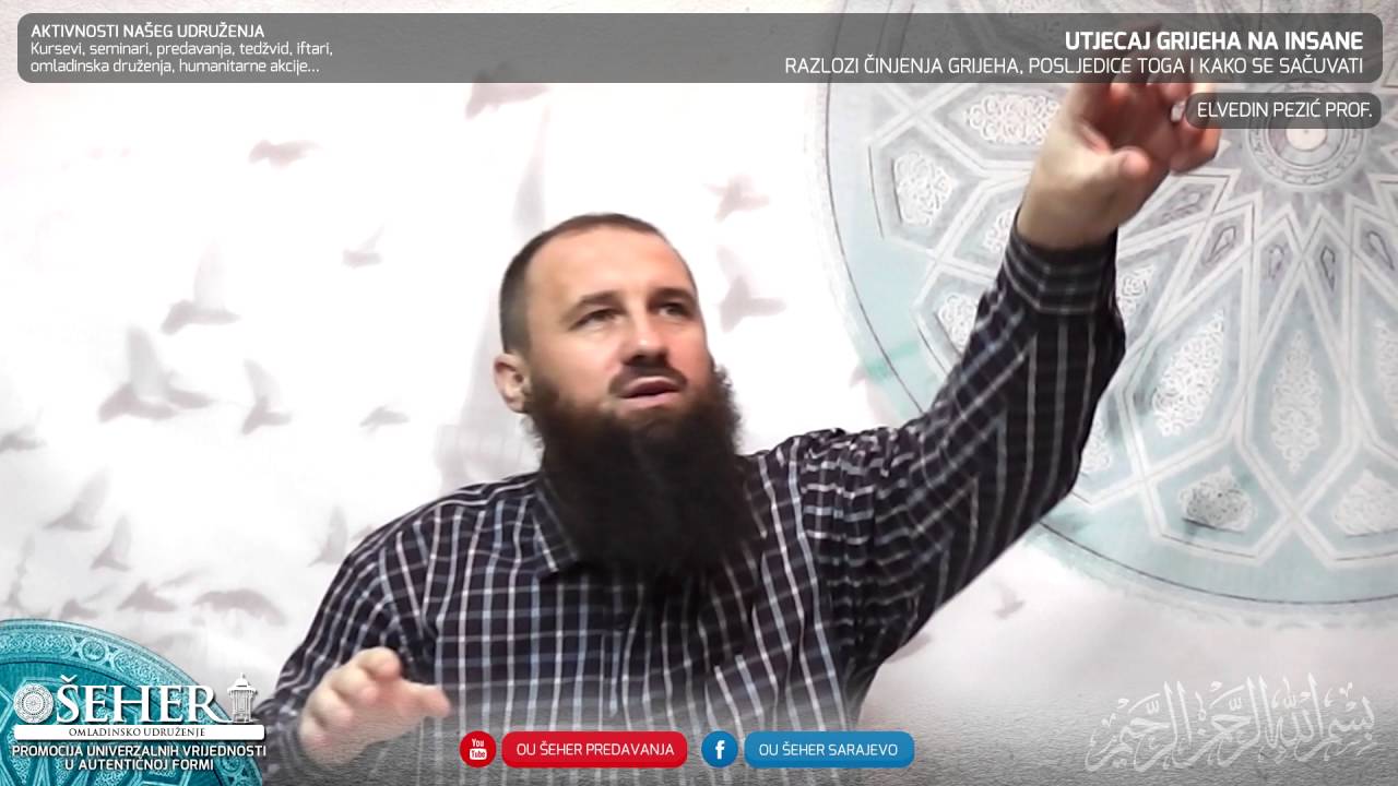 Utjecaj grijeha na insane - mr. Elvedin Pezić, prof.