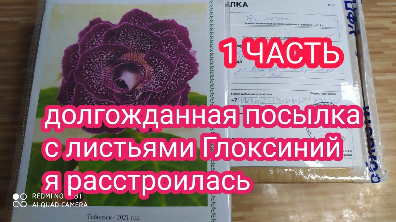 РАСПАКОВКА ПОСЫЛКИ С ЛИСТЬЯМИ ГЛОКСИНИЙ