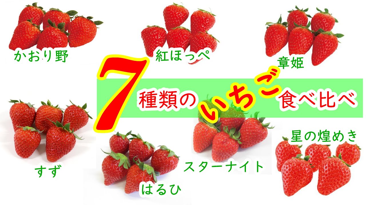 ７種類のイチゴを食べ比べ【７つの苺】