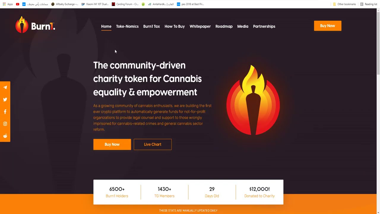 $BURN1 - Earn Money and Save The World - 100X BSC Gem