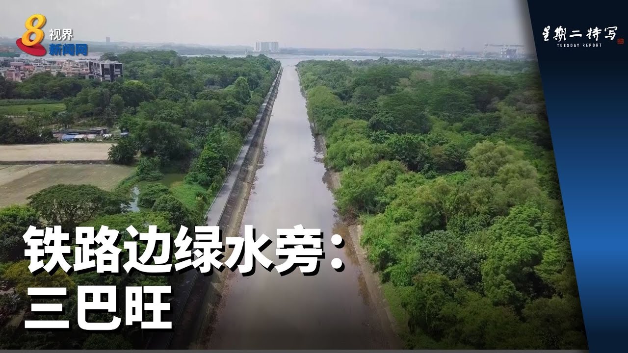 星期二特写 | 铁路边绿水旁：三巴旺