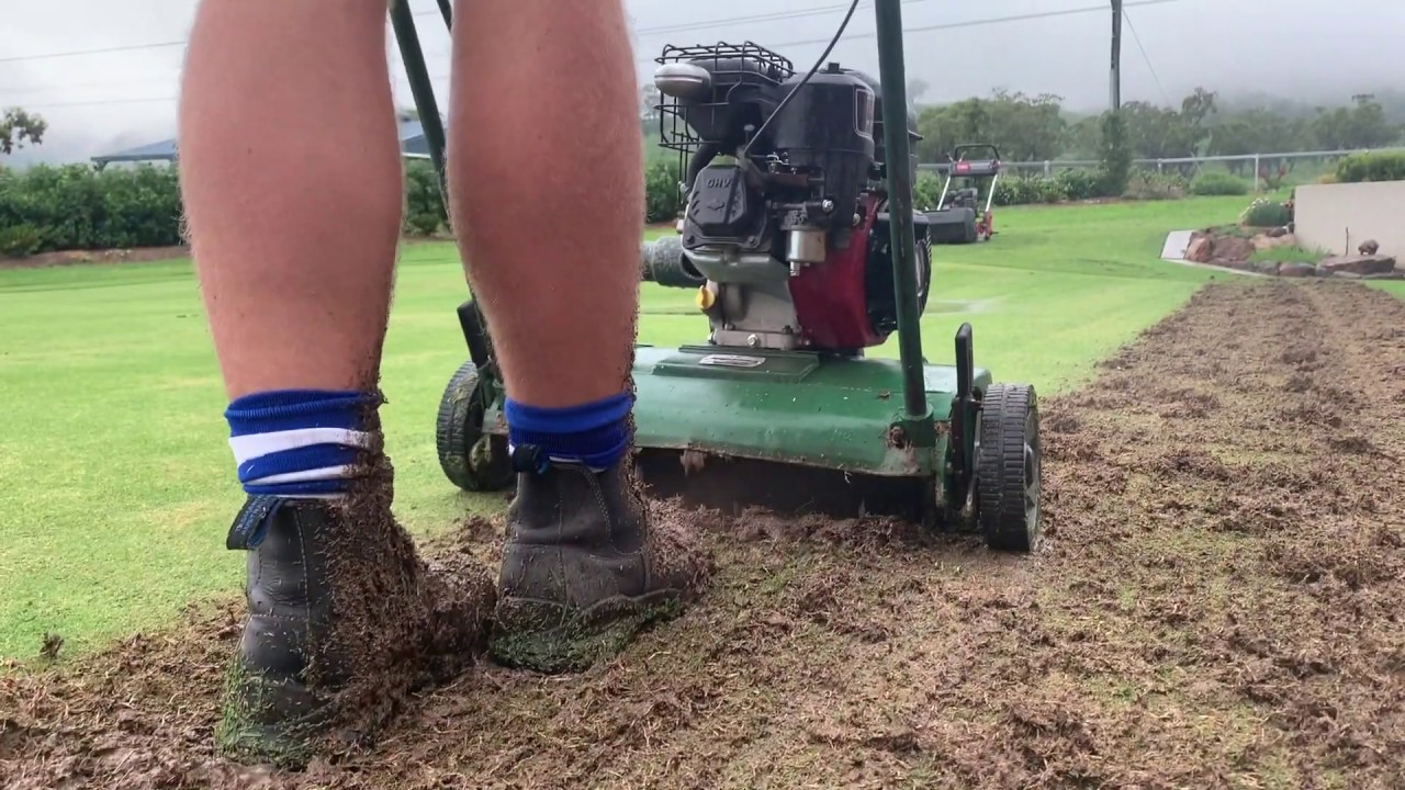 Deep scarify / renovation of my home putting green Pilot episode (part 1 of a 2 part episode)