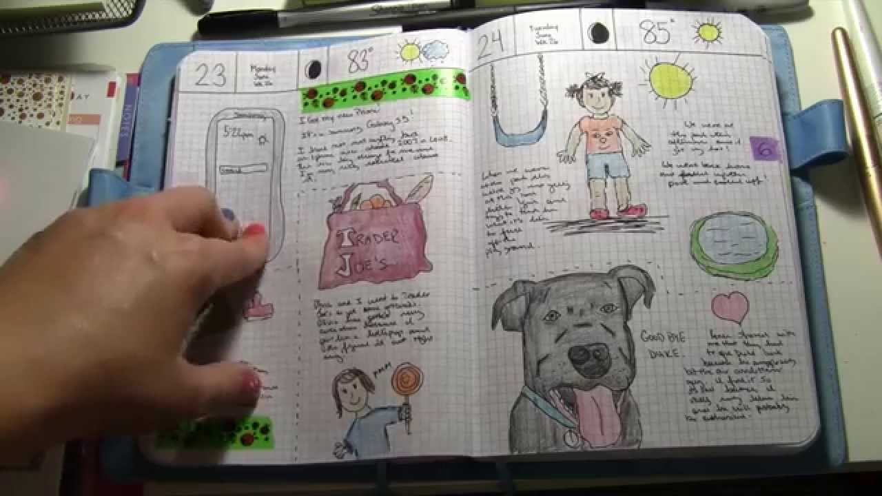 June 2014 Hobonichi/Fauxbonichi Flip!