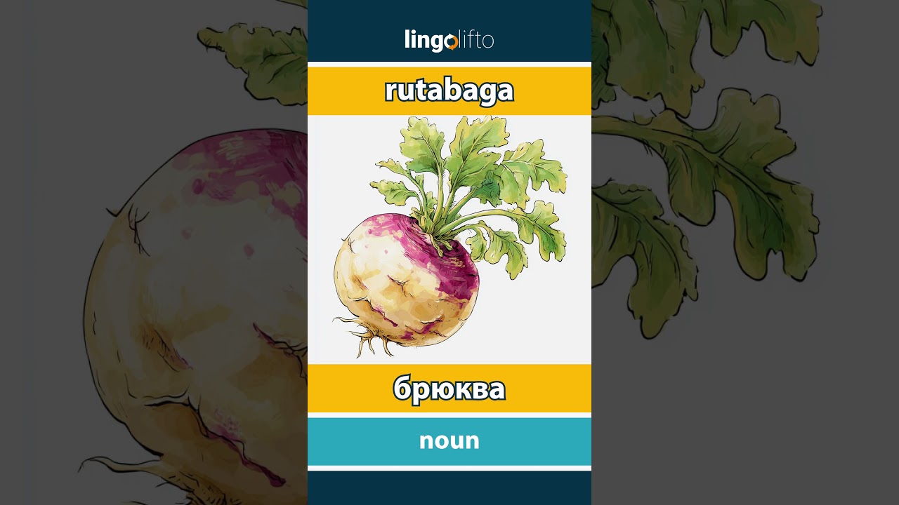 🇬🇧🇷🇺 rutabaga - брюква : learn English : давайте учить английский : vocabulary builder