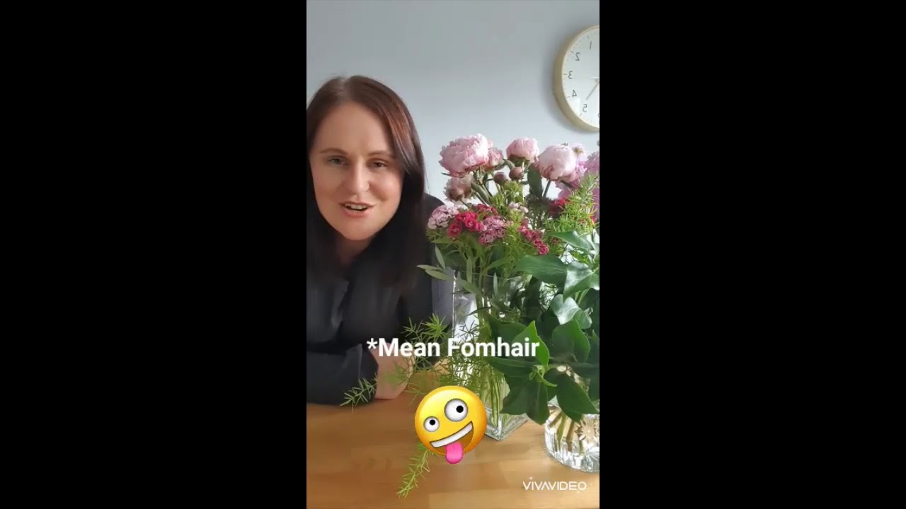 Tionóil Dheireadh na Bliana 24 Meitheamh