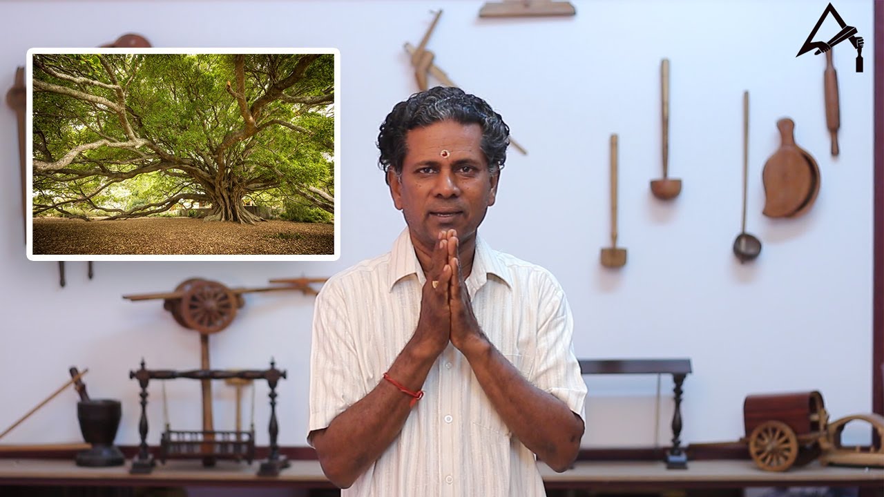 ATTHI MARAM | FIG WOOD | APPAR WOODS