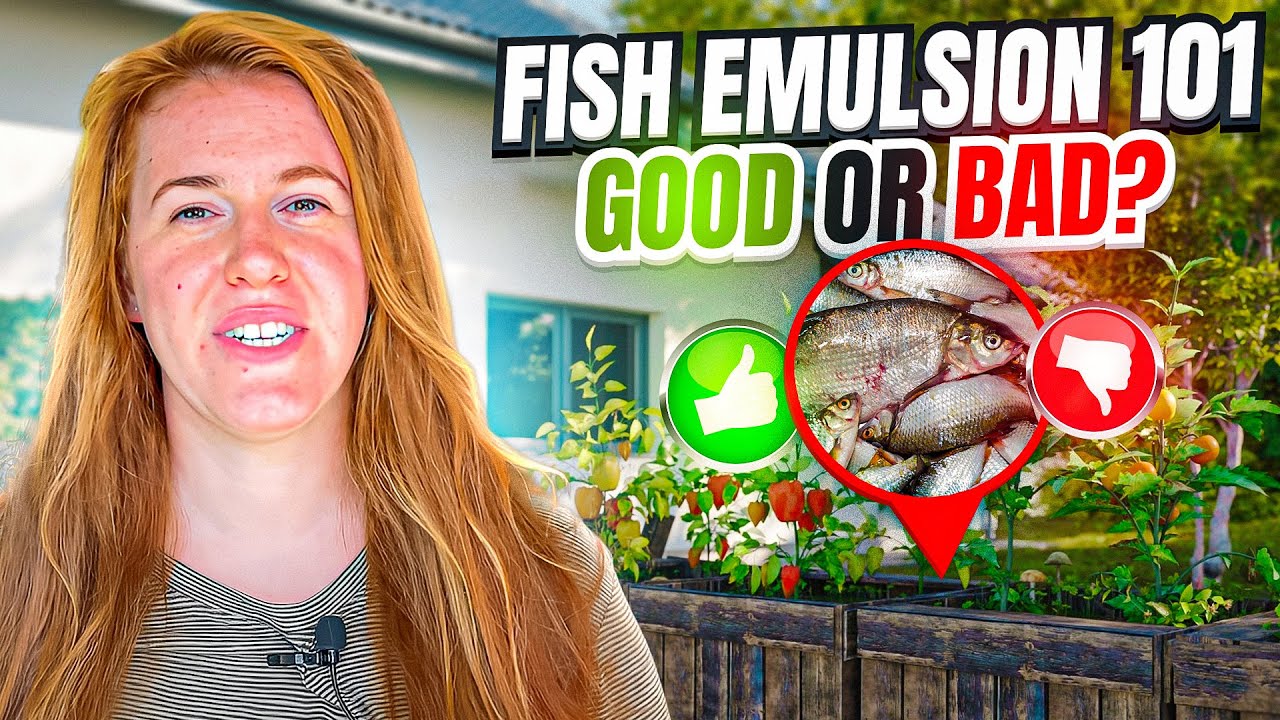 Is Fish Fertilizer Good For Plants? Is Fish Emulsion A Complete Fertilizer? Soil Scientist Explains