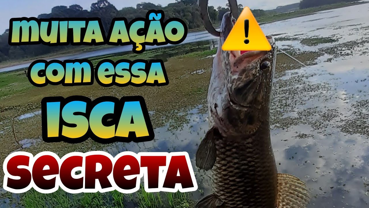 A Isca Secreta das Tra&iacute;ras.
