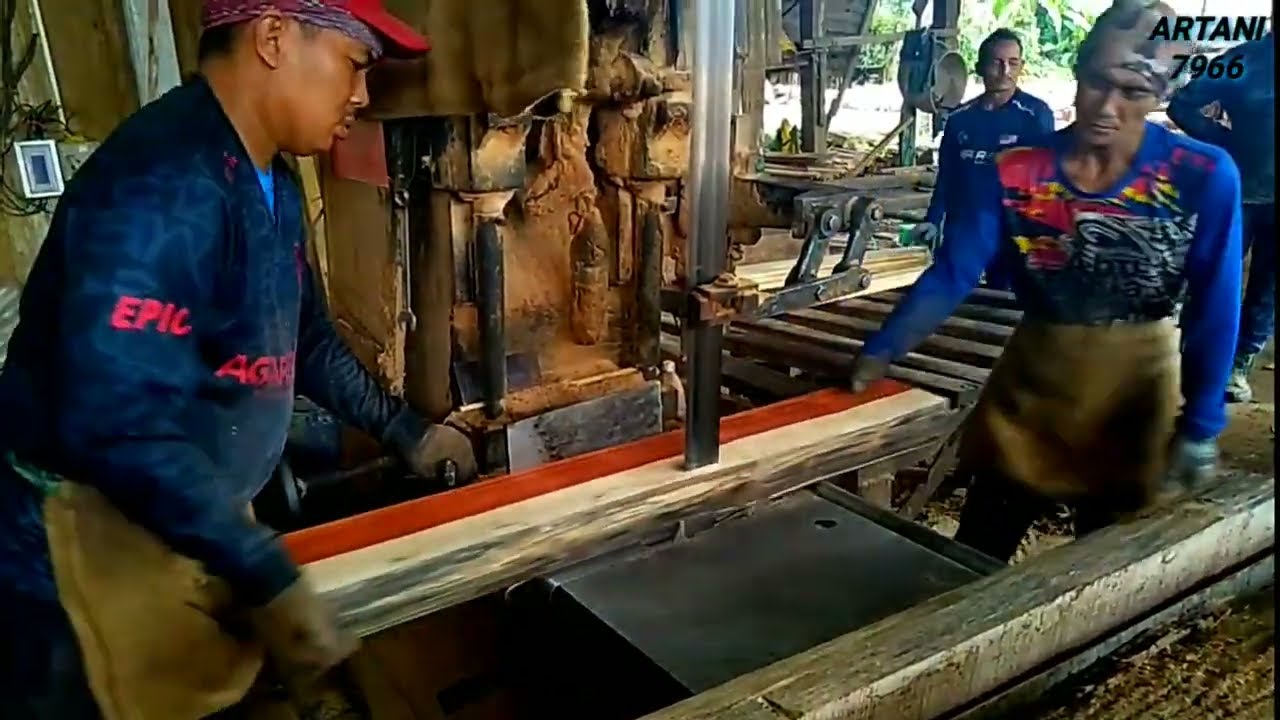 KAYU RENGAS MERAH
