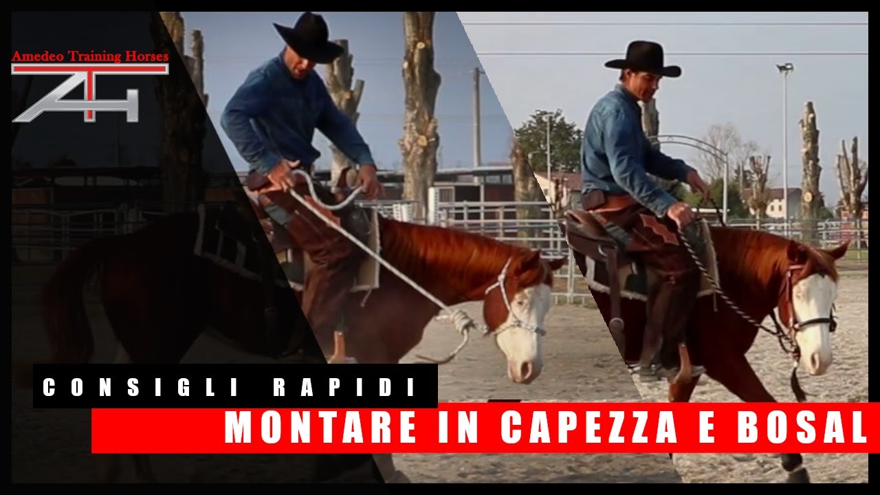 CONSIGLI RAPIDI - Montare in capezza e in bosal