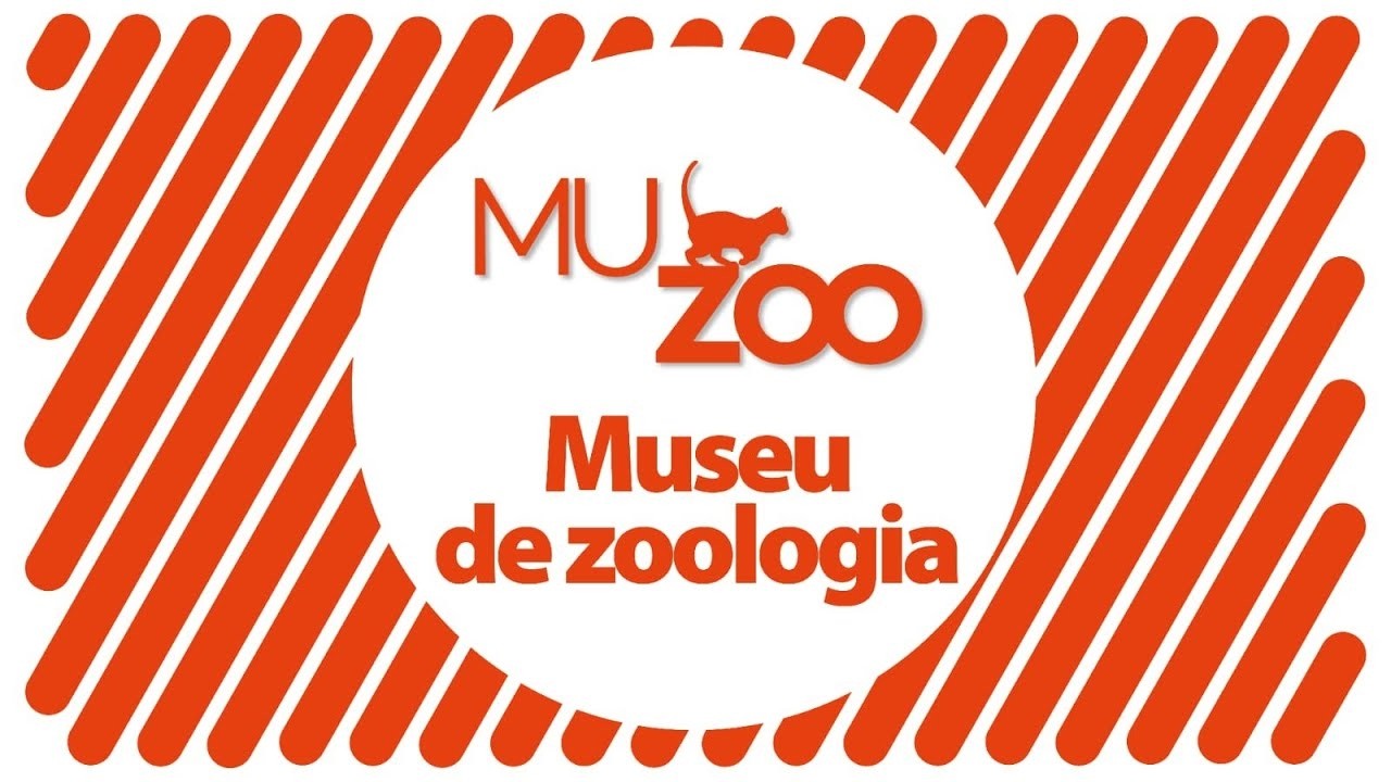 Bacia de Pelotas é foco de estudo geológico | Muzoo | 13/02/2026