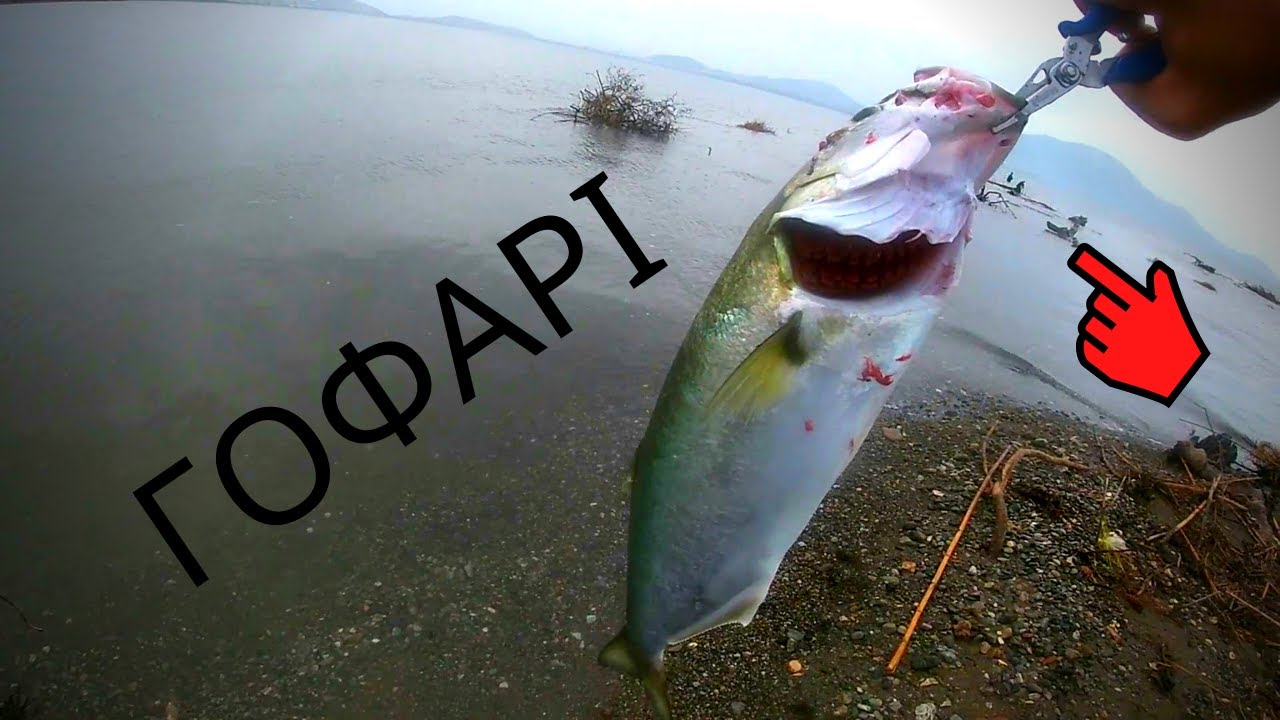 ΨΑΡΕΜΑ|SPINNING: ΜΙΑ ΕΞΟΡΜΗΣΗ ΜΕ ΑΡΚΕΤΑ STRIKE...ΚΑΙ ΕΝΑ ΛΑΙΜΑΡΓΟ ΓΟΦΑΡΙ | BLUEFISH CATCH!!!