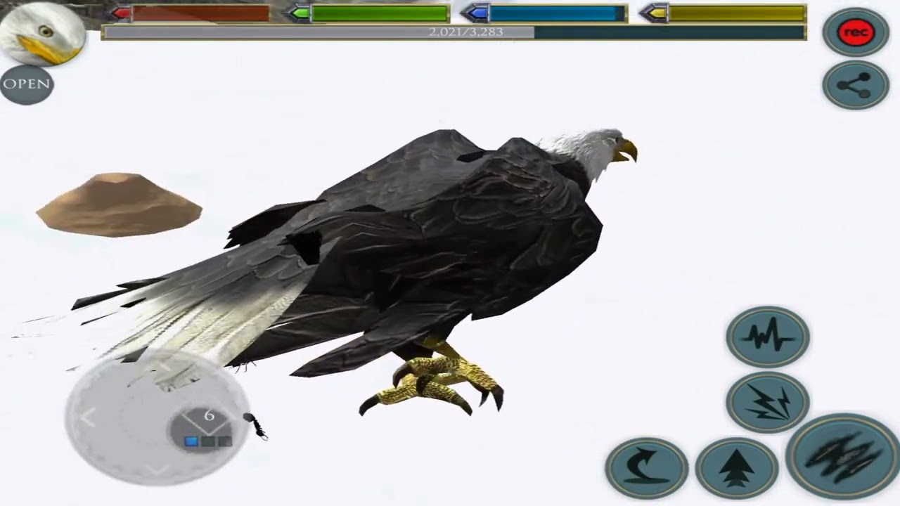 Bald Eagles: The Kings of the Sky