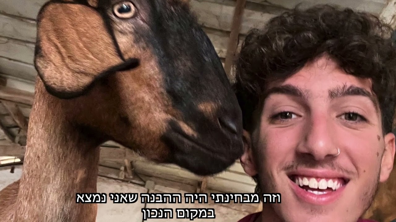 לזיכרו של עמית גבאי