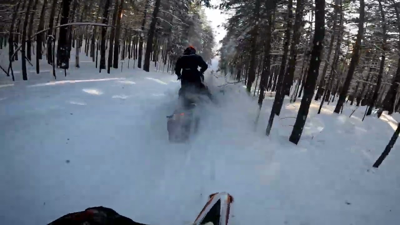 Сноубайк и снегоход #yamaha #snowbike #arcticcat