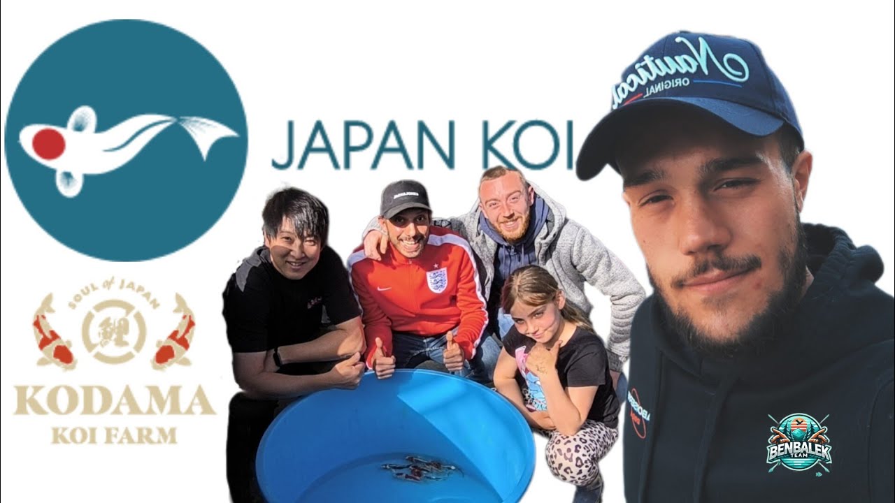 Portes Ouvertes chez Japan Koi avec Masato de la Koda Koi Farm 🇯🇵 On Achète un Vrai Poisson Volant 🐟