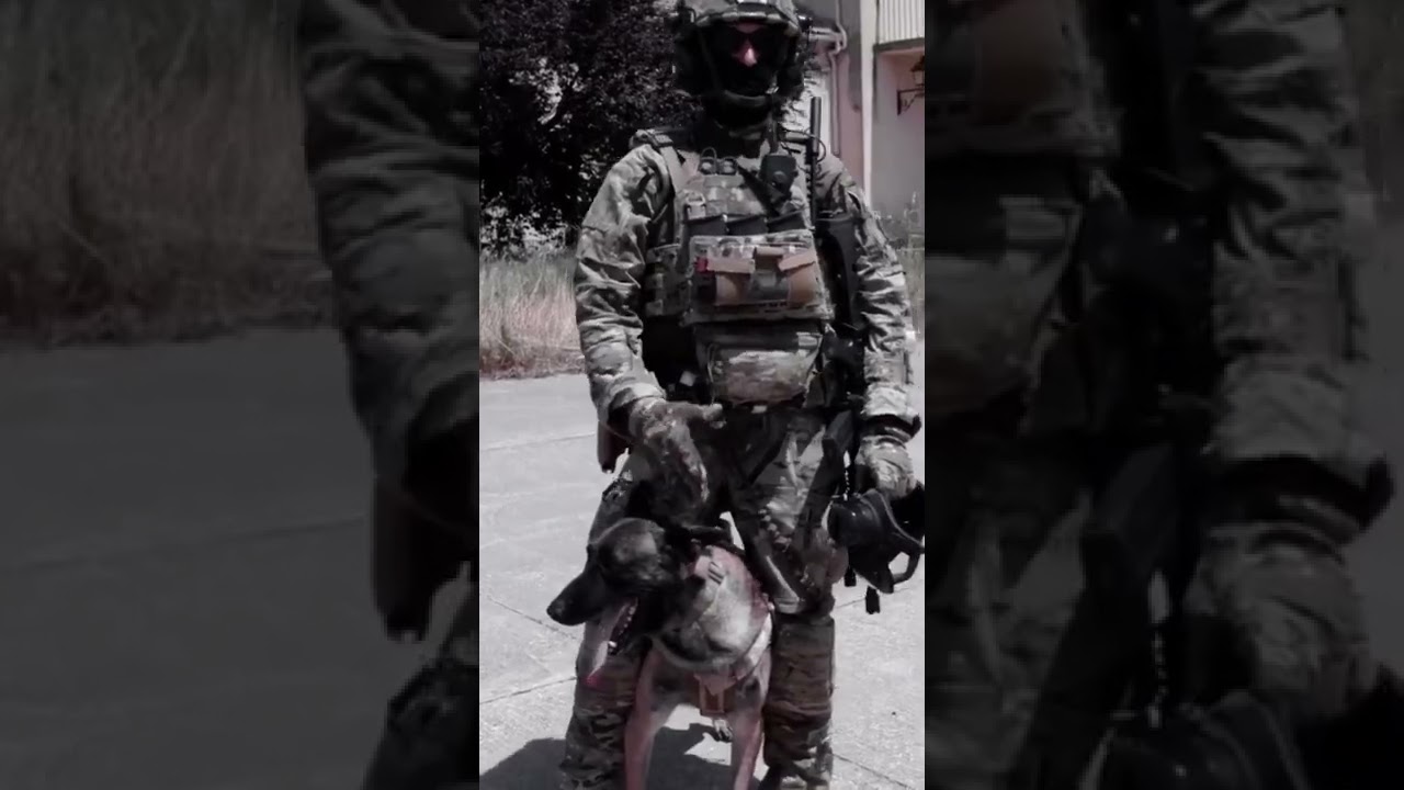 Spanish Special Forces / Military Motivation-MOE