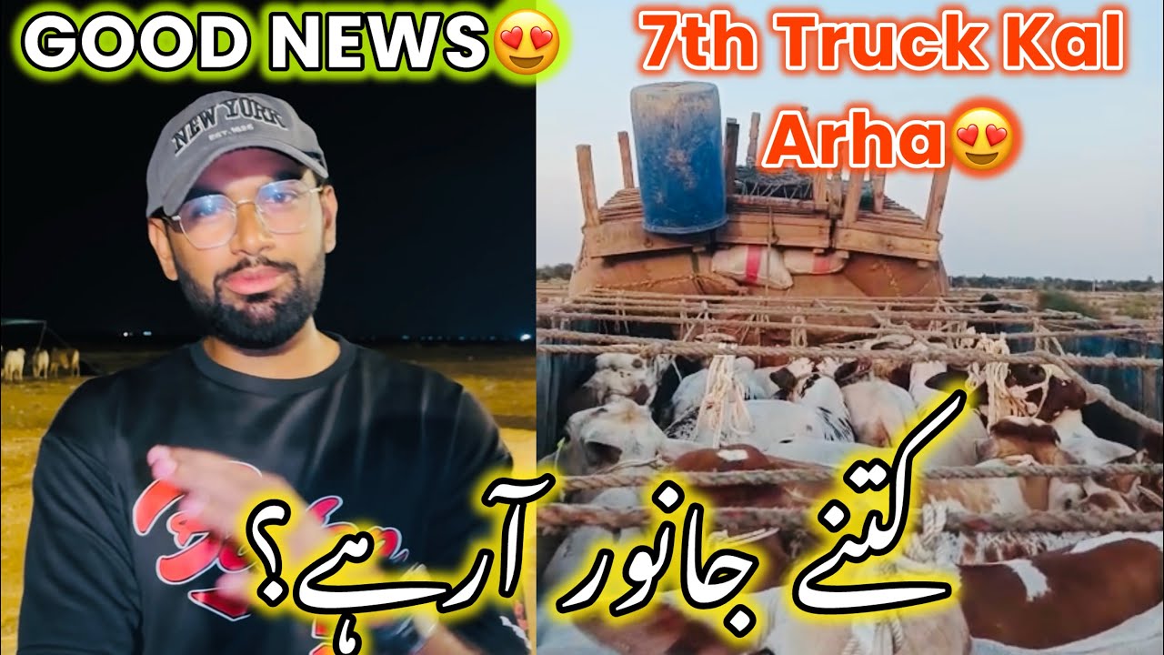 Good News 😍 | 7th Truck Arha Kal 😍 | Northern Bypass Mandi
