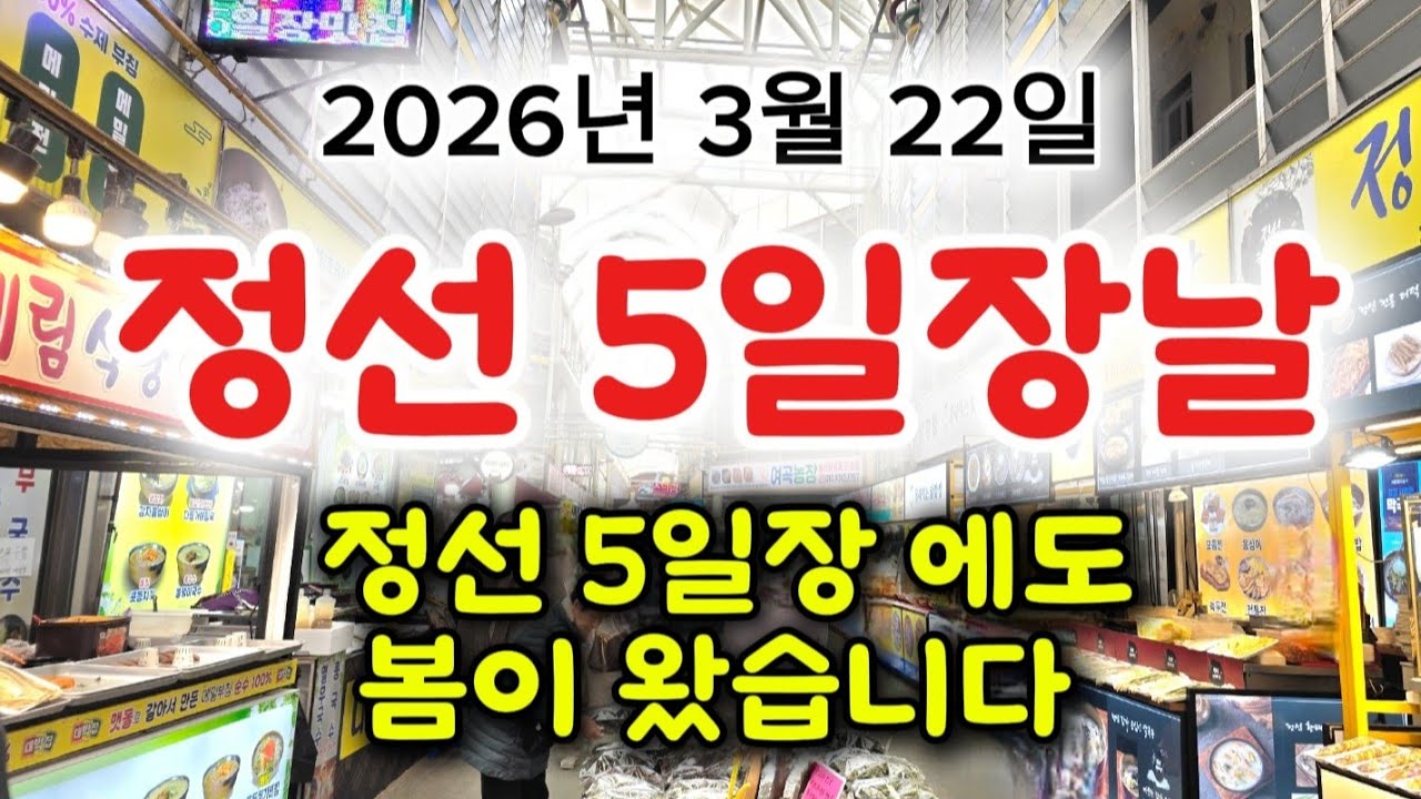 일요일 이라 사람들이 바글바글 정선5일장날 에도 봄날 시골장터 구경하고 가세요 