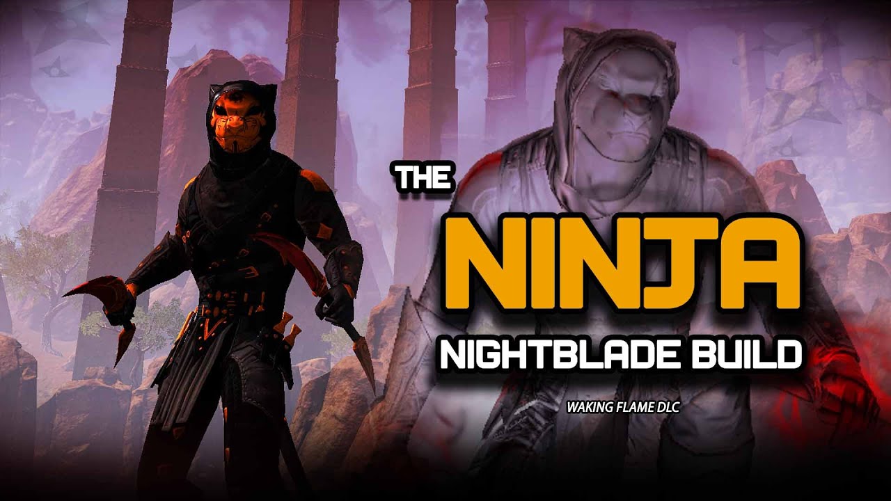 ESO - Ninja - Try This Secret Nightblade Ninja Build In ESO Now!