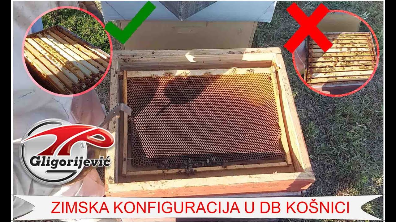 Zazimljavanje DB košnice- svođenje na zimsku konfiguraciju