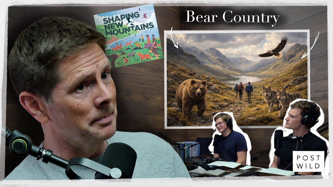 Ireland’s Most Ambitious Rewilding Idea