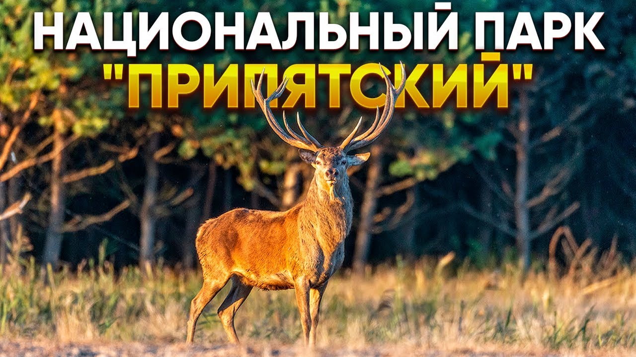 Белорусское Полесье. Национальный парк 