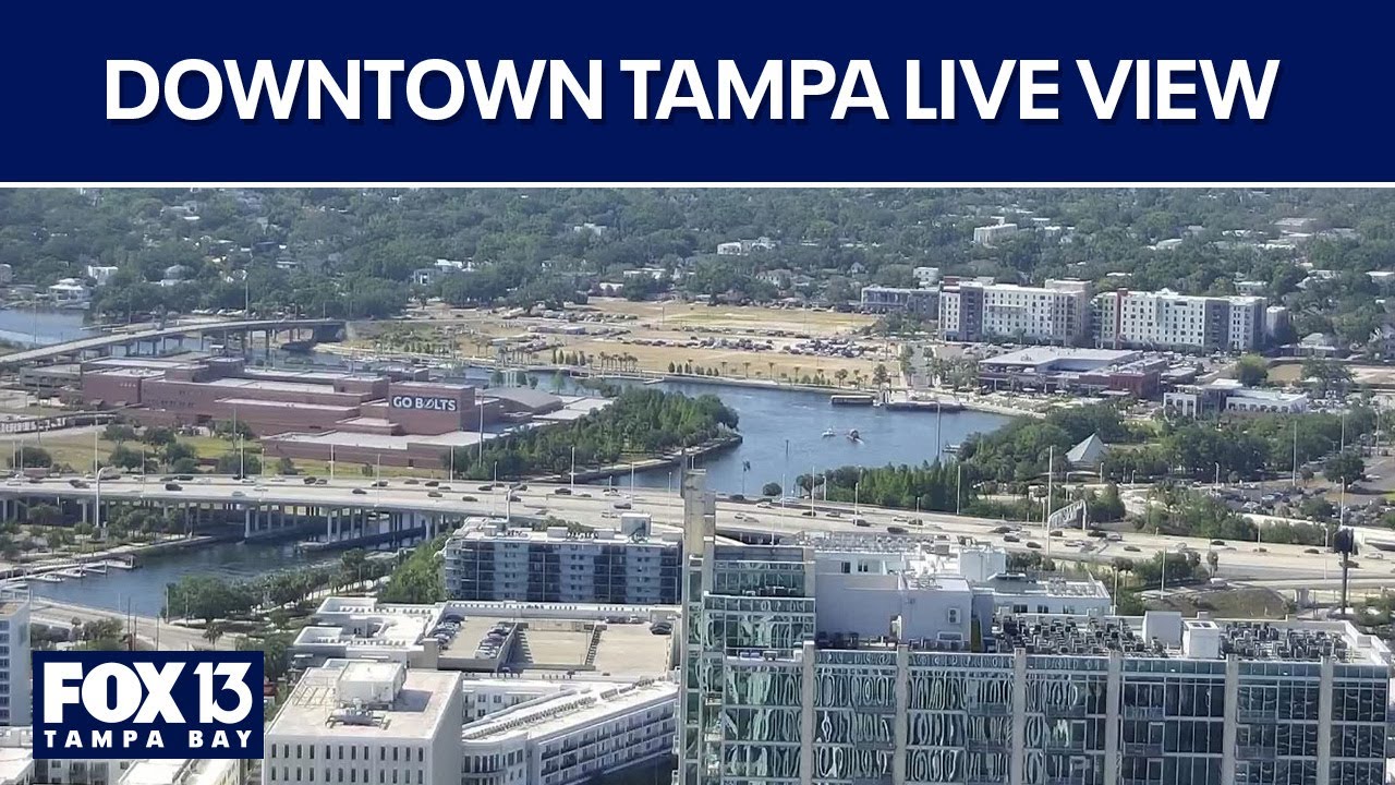 Downtown Tampa view