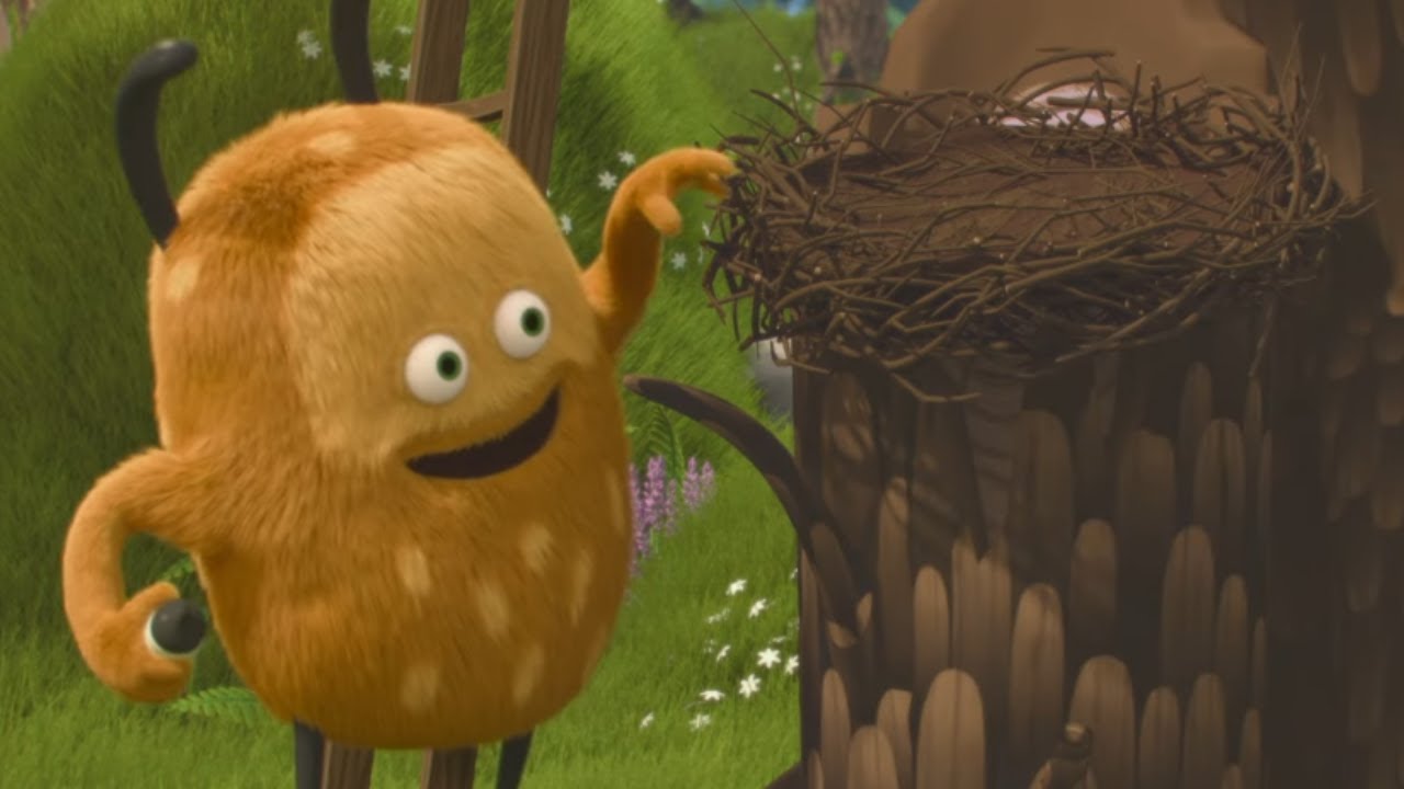 New Bird House | Kiwi & Strit | Cartoons for Kids | WildBrain Little Ones