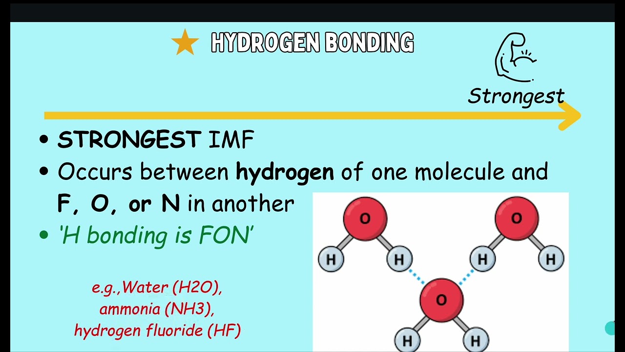 IMFS (intermolecular forces)
