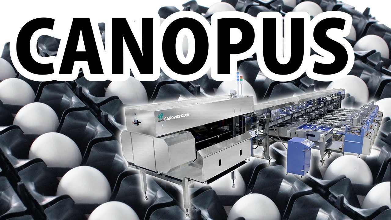 【NABEL】Egg Grading and Packing System (CANOPUS)