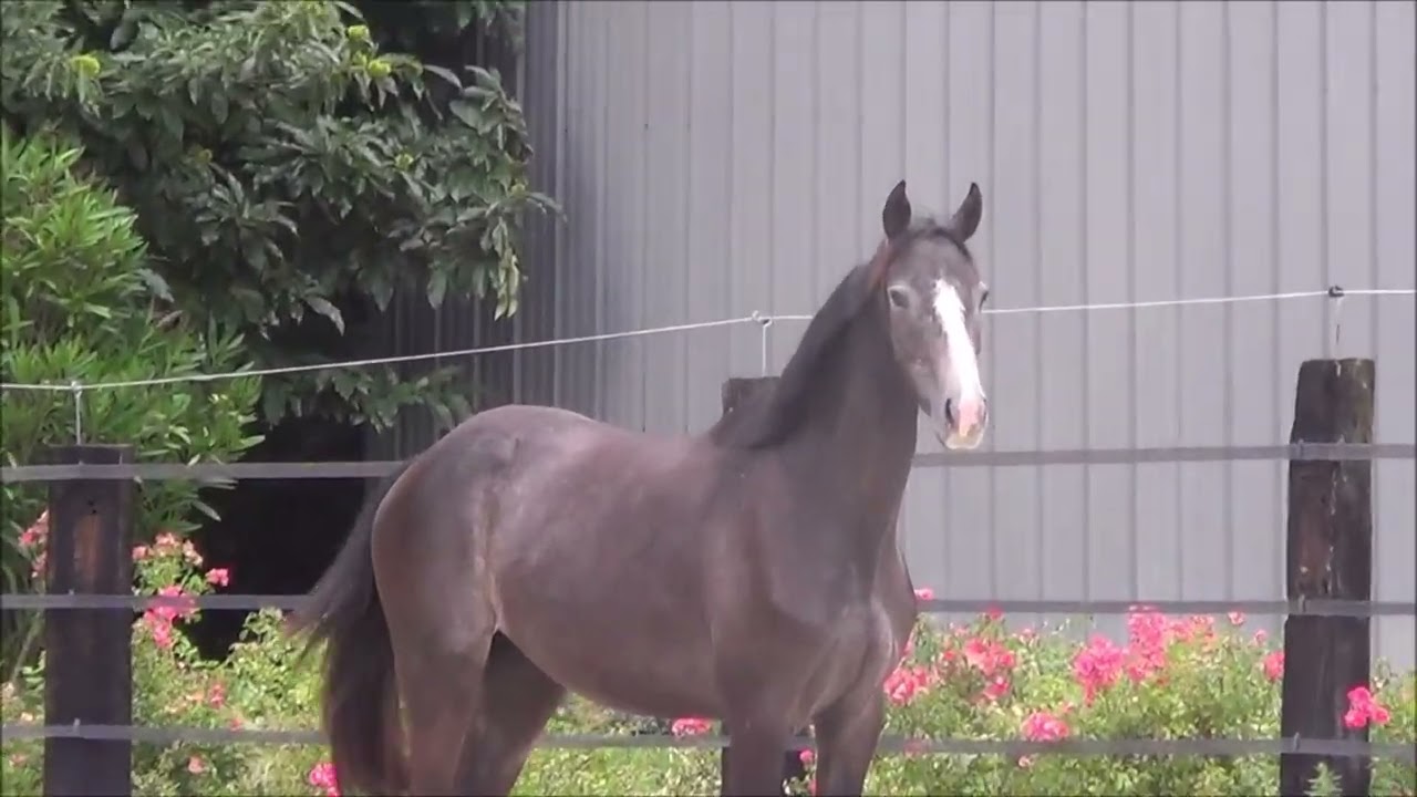 Kiss me de l'océan (Untouchable 27 x Nartago)