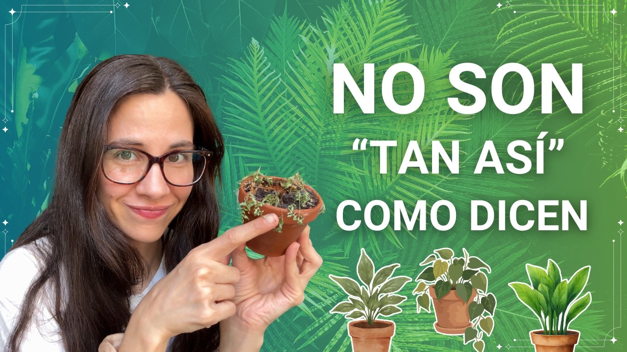 👉 Consejos de plantas que parecen buenos… pero no lo son!