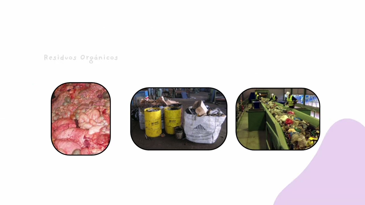 Manejo de residuos de productos c&aacute;rnicos 