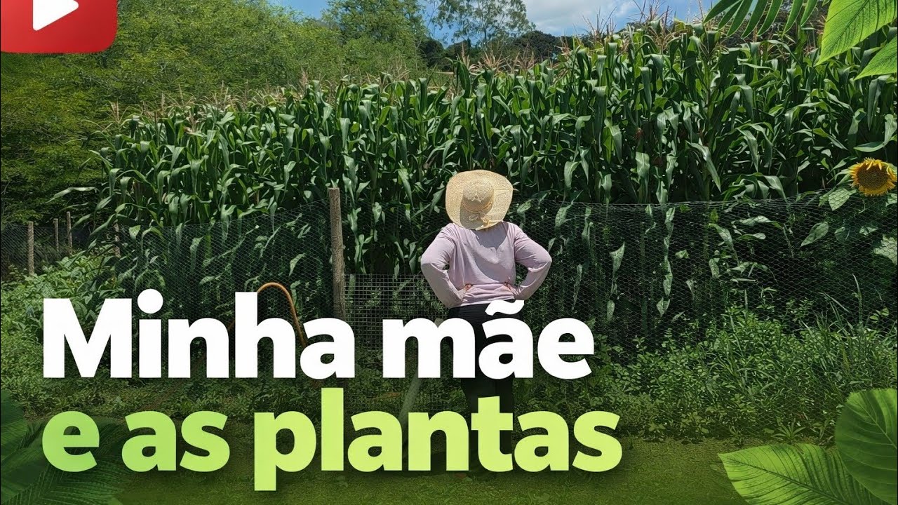 PLANTAS CARNÍVORAS | OLHA O QUE MINHA MÃE FEZ 😱😱😱