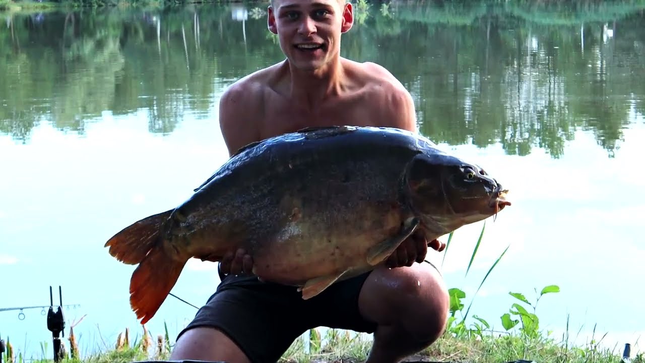 KARPERVISSEN bij De schatberg Landal - 17kg SPIEGELKARPER