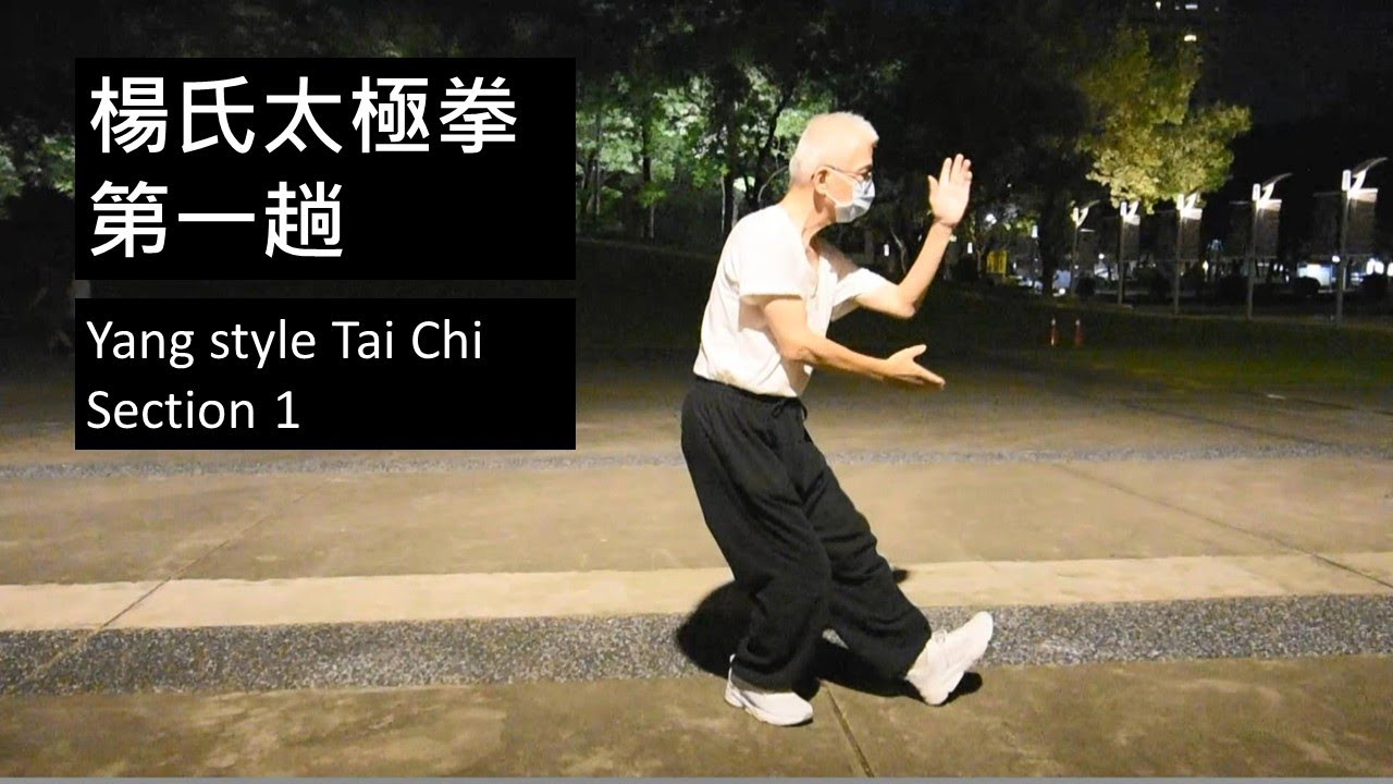 楊氏太極拳108  第一趟 Yang style Tai Chi  一本無形的書 打法等於用法 內容講述著太極拳拳理 包含摔打擒踢的技法 各式用法請看這裡的其他影片