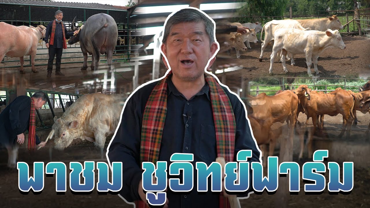 ส.ส.กุ่ย พาชม 