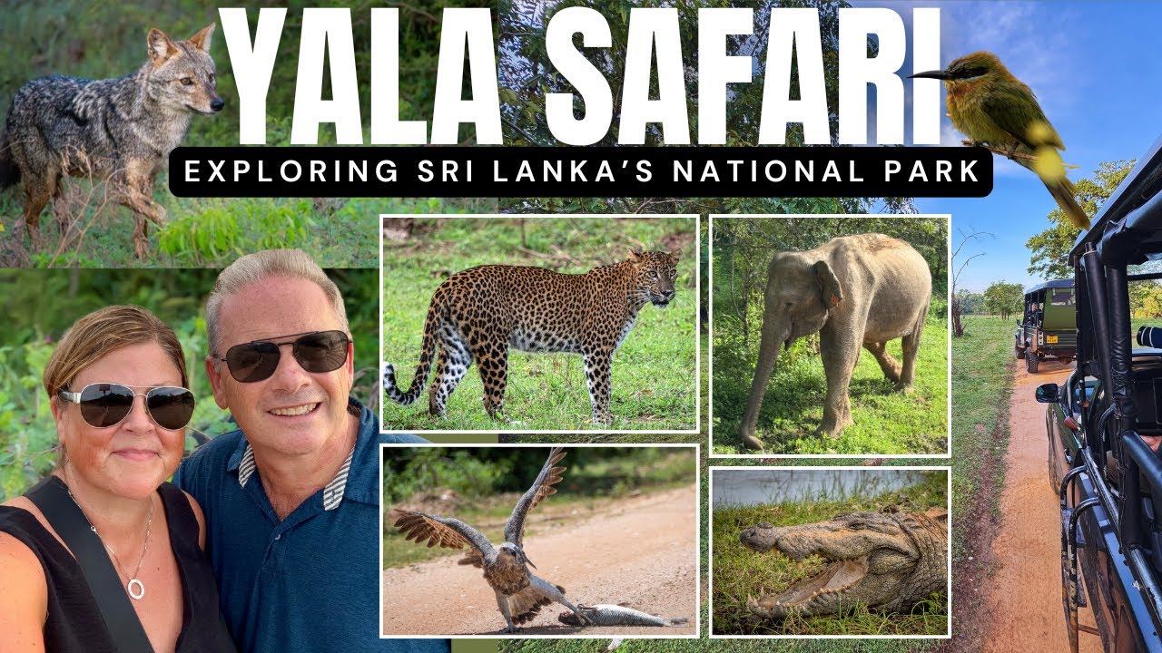 Yala Safari. Exploring Sri Lanka's National Park Block 1 and 5.  Tour of Sri Lanka Episode 6
