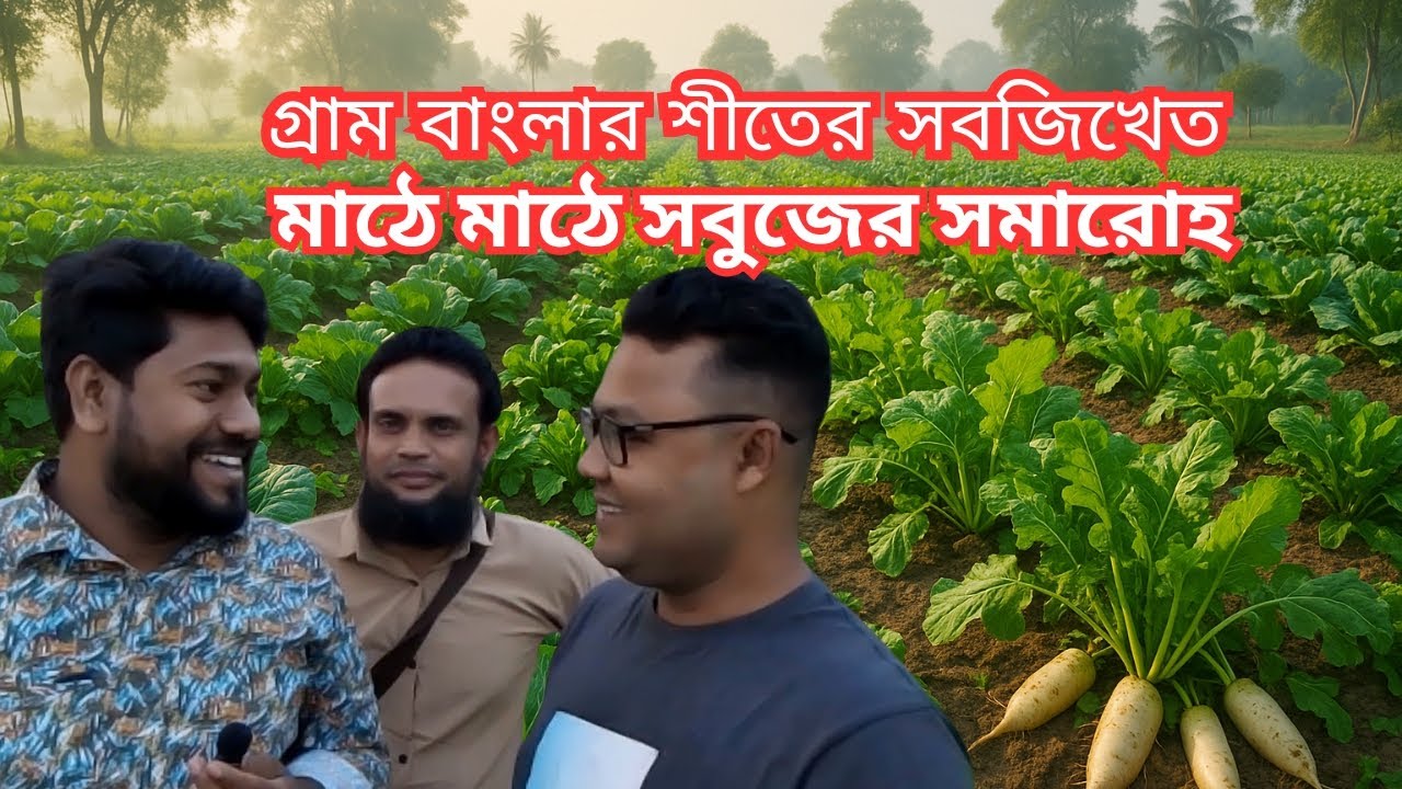 বাংলাদেশে শীতকালীন সবজি ভ্রমণ | Winter Vegetables in Bangladesh