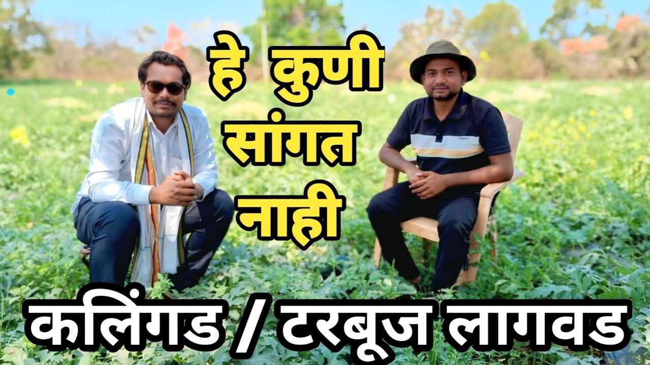 कलिंगड / टरबूज लागवड हे कोणी सांगत नाही | ए टू झेड टरबूज लागवड माहिती 